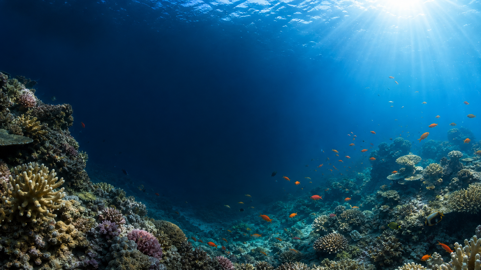 Indonesia sea